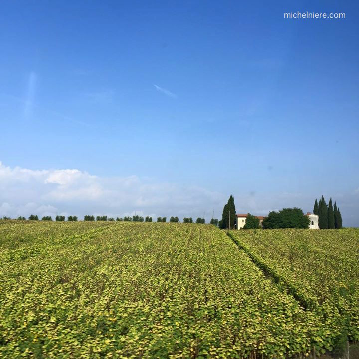 How I fell in love with&nbsp;Florence