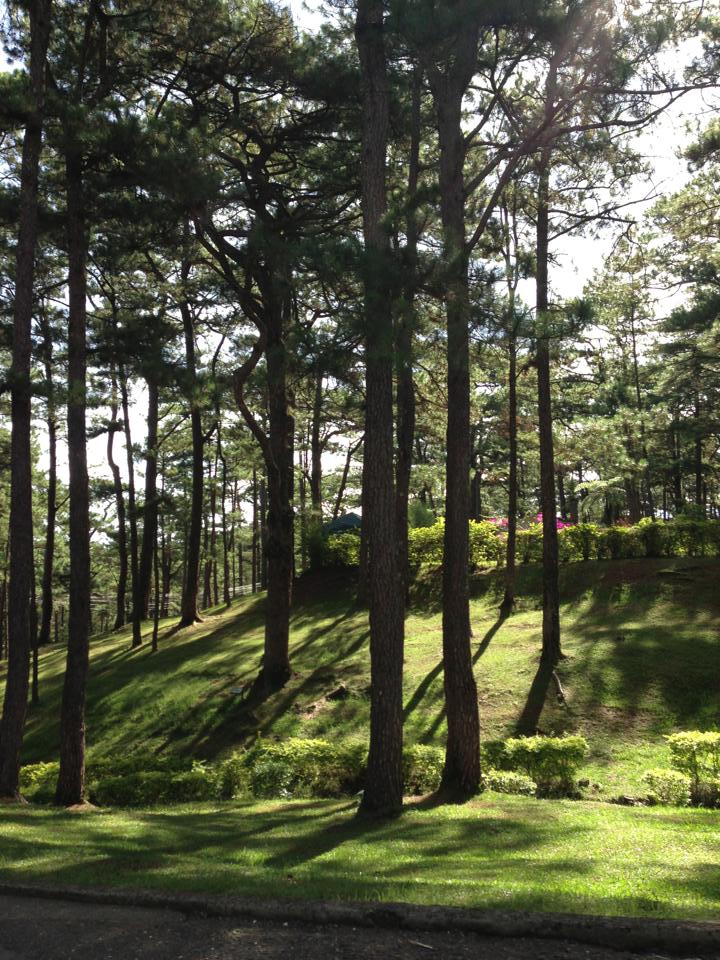 1001635_10152908733850203_1849160386_n