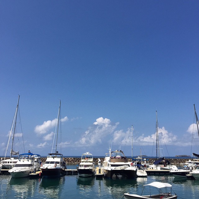 10525501_842503329173860_1140645154_n