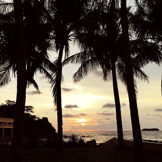 11357517_1468336280130740_1973330306_n