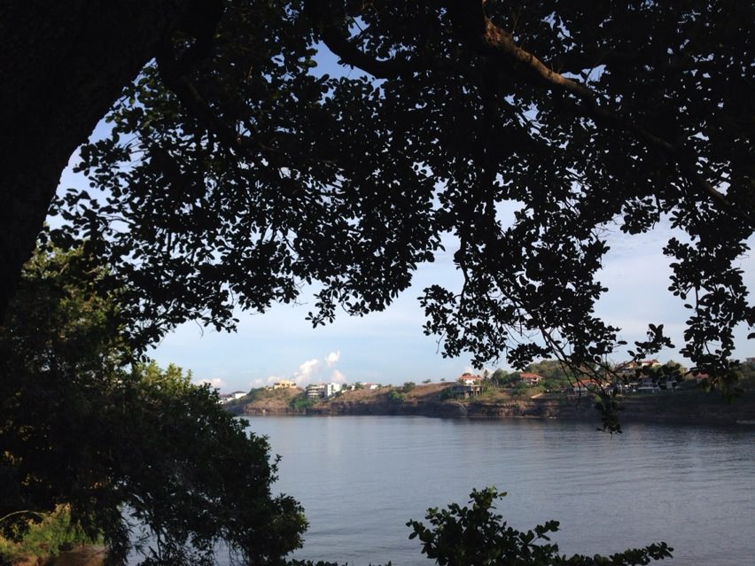 943223_10152803037415203_1239734573_n