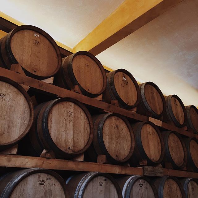 Florence – Tuscany in a&nbsp;Day