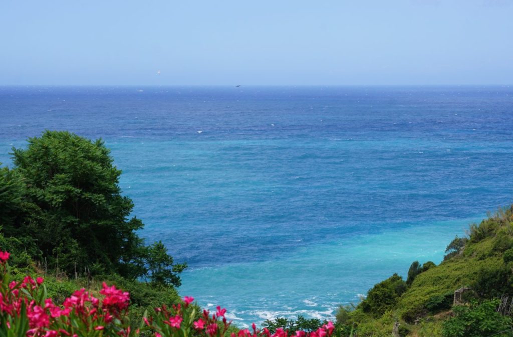 Destination: Cinque Terre